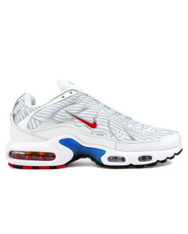 Nike Air Max Plus Euro Tour Particle Grey CW7575 001