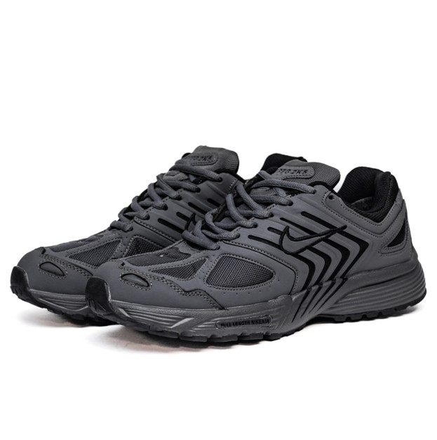 Nike Air Pegasus 2k5 Grey Termo