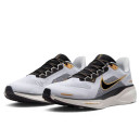 Кросівки Nike Air Zoom Pegasus 41 Light Smoke Grey Metallic Gold