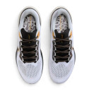 Оригінал Nike Air Zoom Pegasus 41 Light Smoke Grey Metallic Gold