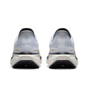 Nike Air Zoom Pegasus 41 Light Smoke Grey Metallic Gold HQ3220-100