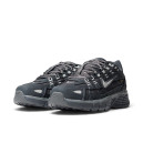 Кросівки Nike P-6000 Gore-Tex Grey White Termo