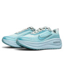 Кросівки Nike Vomero Plus Light Armour Blue