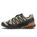Придбати Salomon XA PRO 3D V9 Gore-Tex Natural Black Sugar Almond FKS0000109