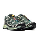 Кросівки Salomon XT-6 Gore-Tex Urban Chic Lime Cream