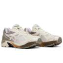 Кросівки Asics GT 2160 x Dime Arctic Wolf