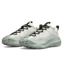 Кросівки Nike ACG Mountain Fly 2 Low Gore-Tex Phantom Light Silver