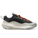Купить Nike ACG Mountain Fly 2 Low Gore-Tex Dark Smoke Grey FKS2354605