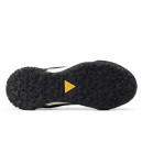 Оригинал Nike ACG Mountain Fly Low Gore-Tex Black Beige