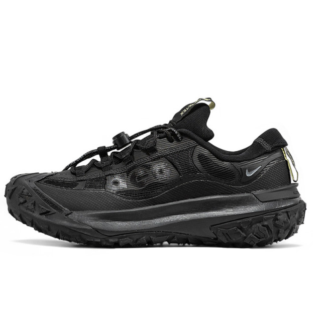 Nike ACG Mountain Fly 2 Gore-Tex Low Black