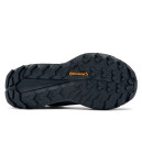 Adidas Terrex Free Hiker 2.0 Low Gore-Tex Black Grey 2354444