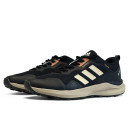 Кроссовки Adidas Terrex Low Gore-Tex Black Beige