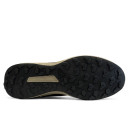 Adidas Terrex Low Gore-Tex Black Beige 2360269