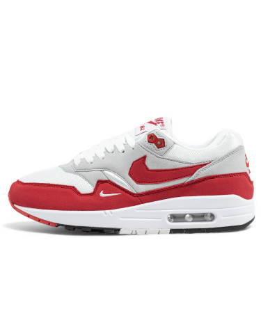 Nike Air Max 1 Low Poly