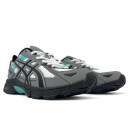 Кросівки Asics Gel Venture 6 Gore-Tex Grey