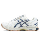 Придбати Asics Gel Kahana 8 Gore-Tex White Blue FKS2354636