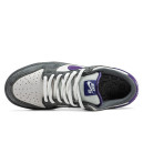 Nike Dunk Low Pro SB Purple Pigeon 304292-051