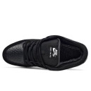 Nike SB Dunk Low Black White Gum З ХУТРОМ 2359558