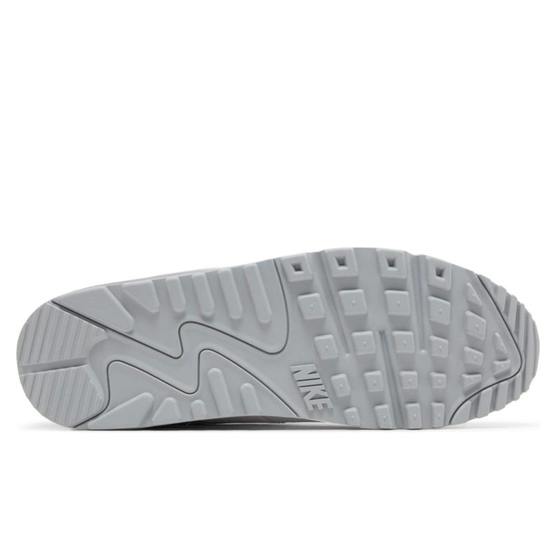 Nike Air Max 90 White Grey FN8005 100