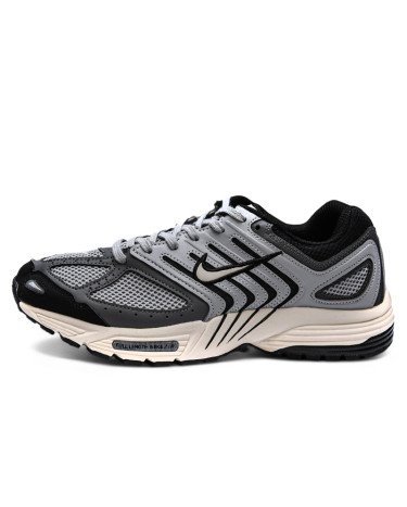 Nike Air Pegasus 2005 Grey Black Beige