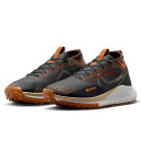 Кросівки React Pegasus Trail 4 Gore-Tex Anthracite Ale Brown
