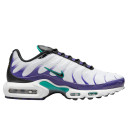 Купить Nike Air Max Plus Grape FKS2351917