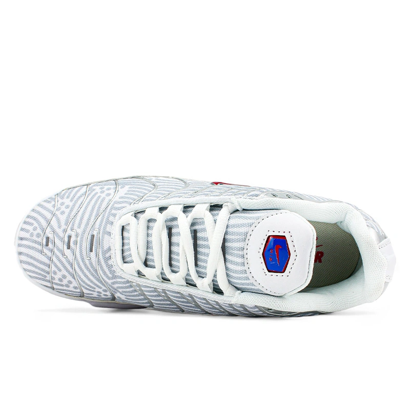 Nike Air Max Plus Euro Tour Particle Grey CW7575 001 FKS2353996 Footers