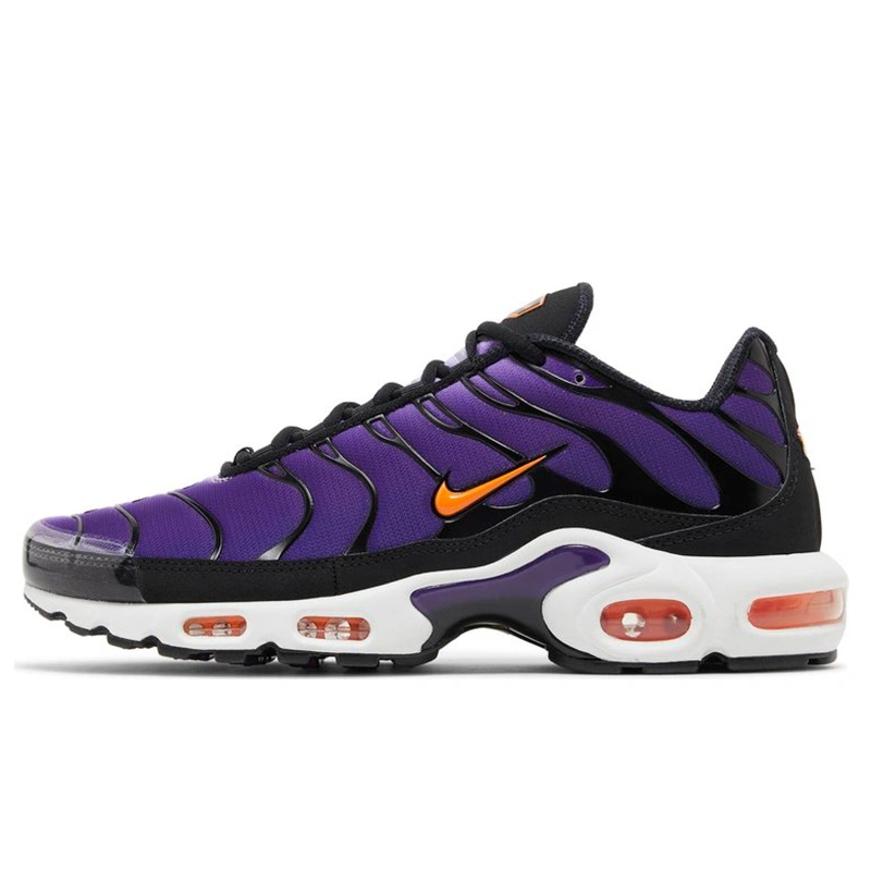 Придбати Nike Air Max, Nike Air Max Plus Фіолетовий оригінал на