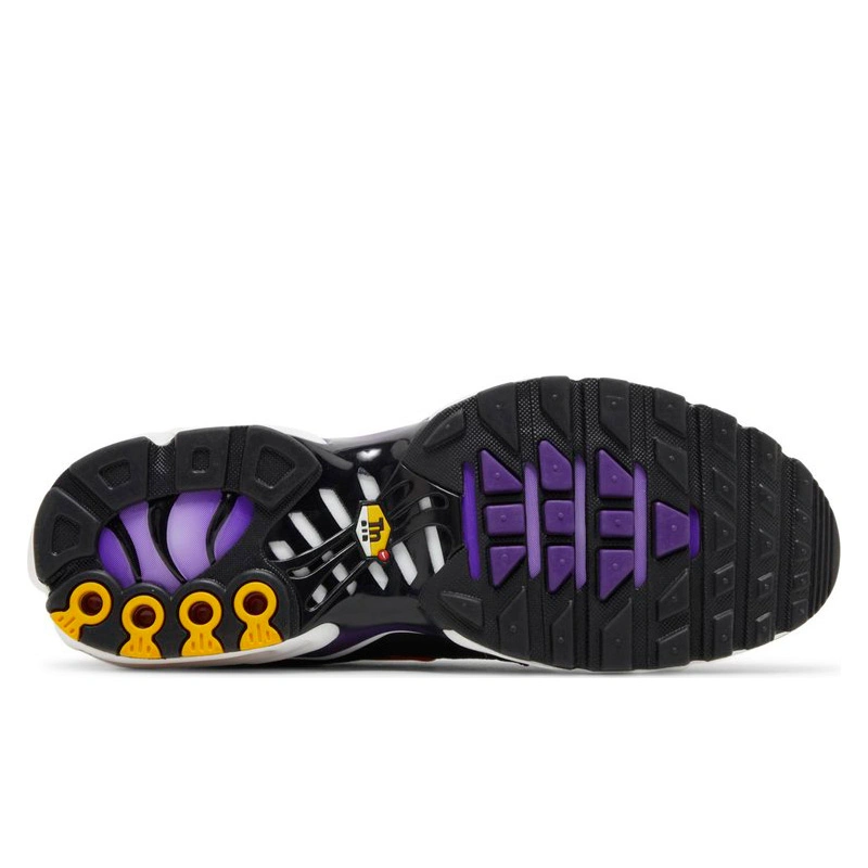 Придбати Nike Air Max, Nike Air Max Plus Фіолетовий оригінал на