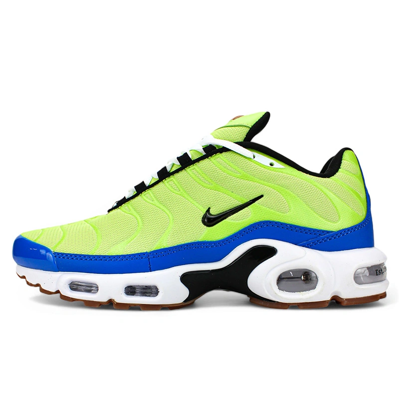 Nike Air Max Plus Frank Rudy Ghost Green DZ0480 300