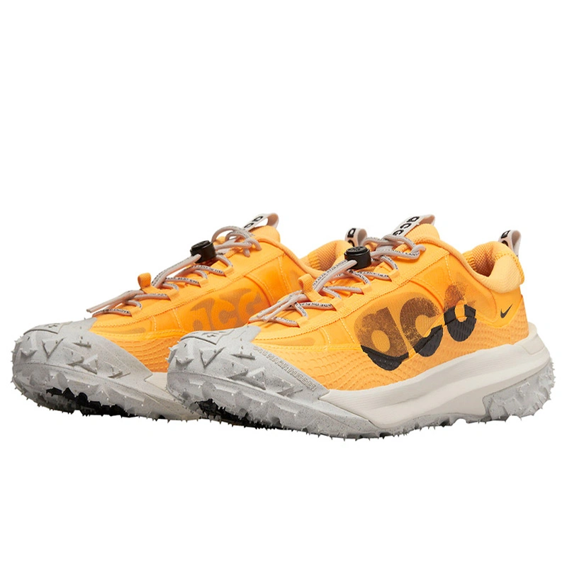 Nike acg pegasus 2025