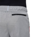 Оригінал Шорти Nike NK POLY+ SHORT