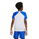 Футболки Футболка тренувальна Nike NK DF PERF TOP COLLECTN HBR