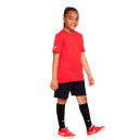 Оригінал Футболка Nike NK PARK20 SS TEE