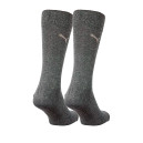 Шкарпетки/Гетри Шкарпетки Puma CLASSIC 2P