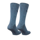 Шкарпетки/Гетри Шкарпетки Puma CLASSIC 2P