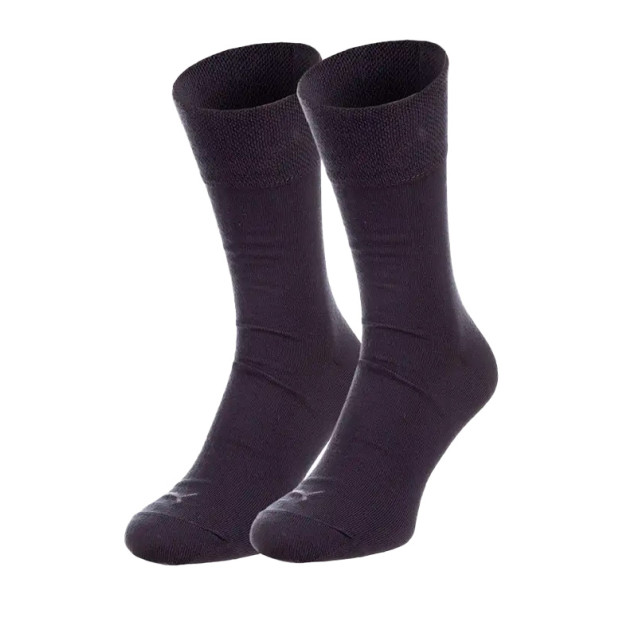 Шкарпетки Puma CLASSIC PIQUEE 2P 90795401