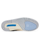 Jordan 3 Retro Lucky Shorts CT8532-101