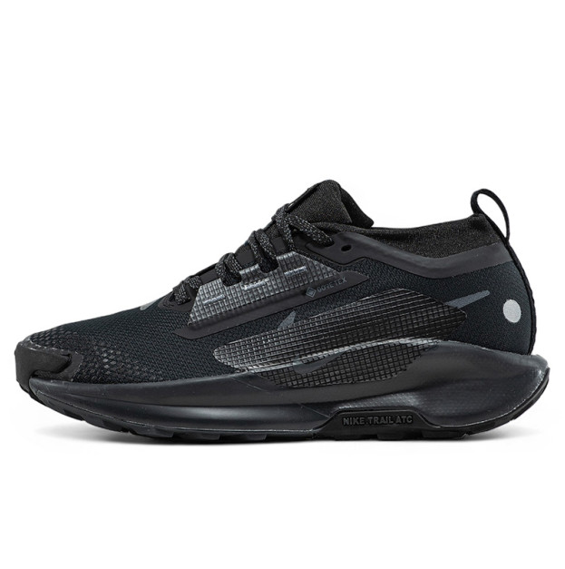 Nike Pegasus Trail 5 Gore-Tex Black Anthracite FQ0908-002