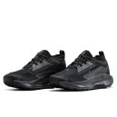 Кроссовки Nike Pegasus Trail 5 Gore-Tex Black Anthracite