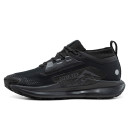 Купить Nike Pegasus Trail 5 Gore-Tex Black Anthracite FKS2359142