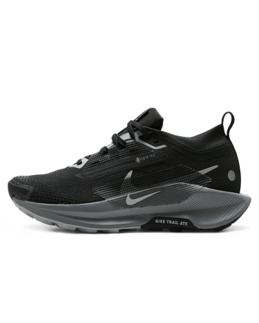 Nike Pegasus Trail 5 Gore-Tex Black Wolf Grey