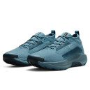 Кросівки Nike Pegasus Trail 5 Gore-Tex Smokey Blue