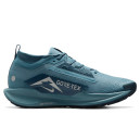 Придбати Nike Pegasus Trail 5 Gore-Tex Smokey Blue FKS2359161