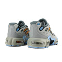 Оригинал Nike Air Max Plus Drift Light Smoke Grey