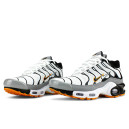 Кросівки Nike Air Max Plus TN Double Swoosh Mean Grey White