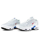 Кросівки Nike Air Max Plus Euro Tour Particle Grey