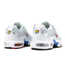 Оригінал Nike Air Max Plus Euro Tour Particle Grey