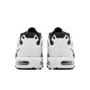 Оригінал Nike Air Max Plus Drift White Silver Black