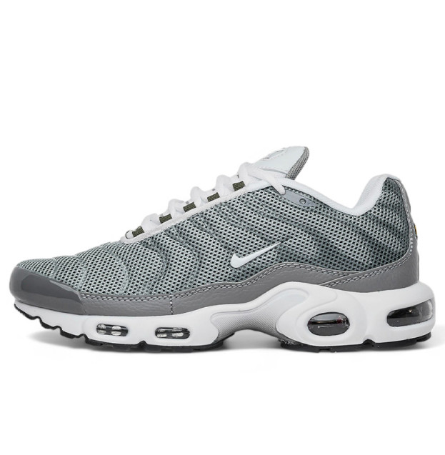 Nike Air Max Plus Flat Pewter White DV7665-002